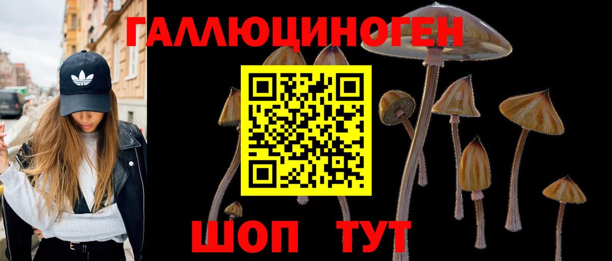 Галлюциногенные грибы прущие грибы  Вход с VPN  Чебоксары 