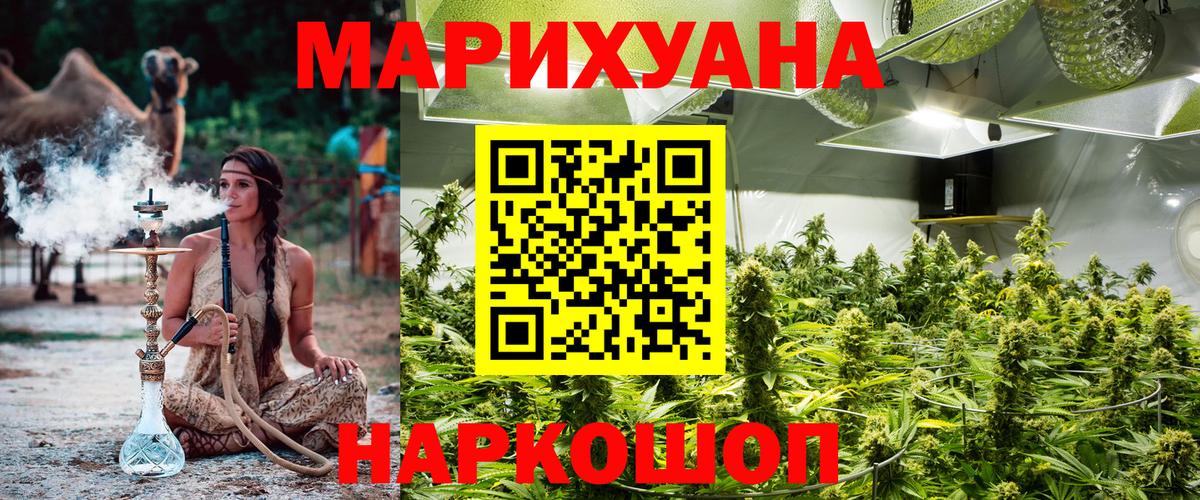 Бошки марихуана White Widow Чебоксары